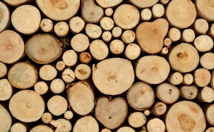 Met hout kan je veel, heel veel