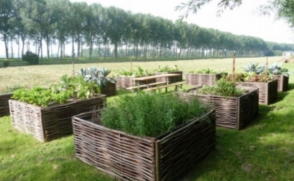 Tuinstijl De Ecotuin: Hoe creëer ik een duurzame en ecologische tuin?