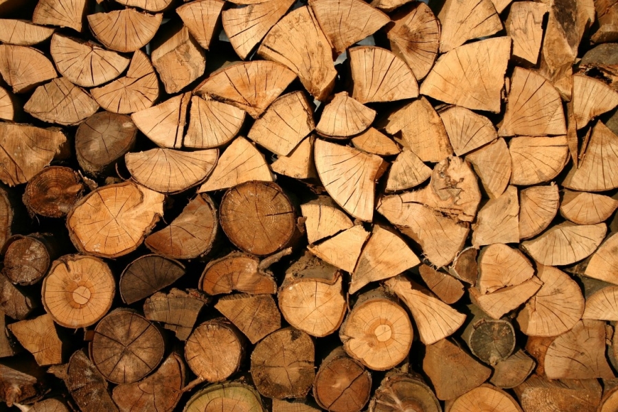 5 tips om brandhout perfect te drogen>