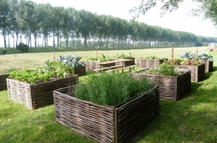 Tuinstijl De Ecotuin: Hoe creëer ik een duurzame en ecologische tuin?>